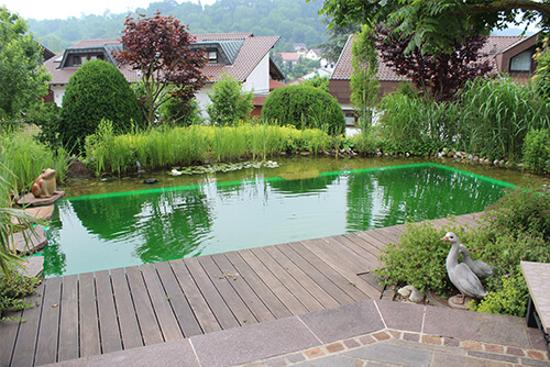 Schwimmteiche - Badespaß im eigenen Garten